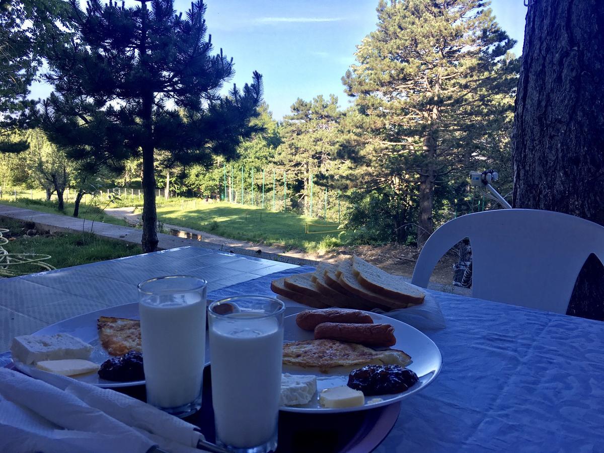 Shkreli Resort Qafeshtame Cudhi-Kamt ภายนอก รูปภาพ